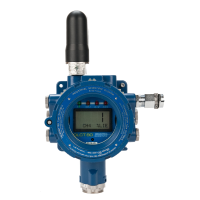 Wireless Gas Detector 3